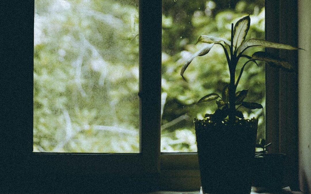 Perfect on the Outside, ADHD on the Inside