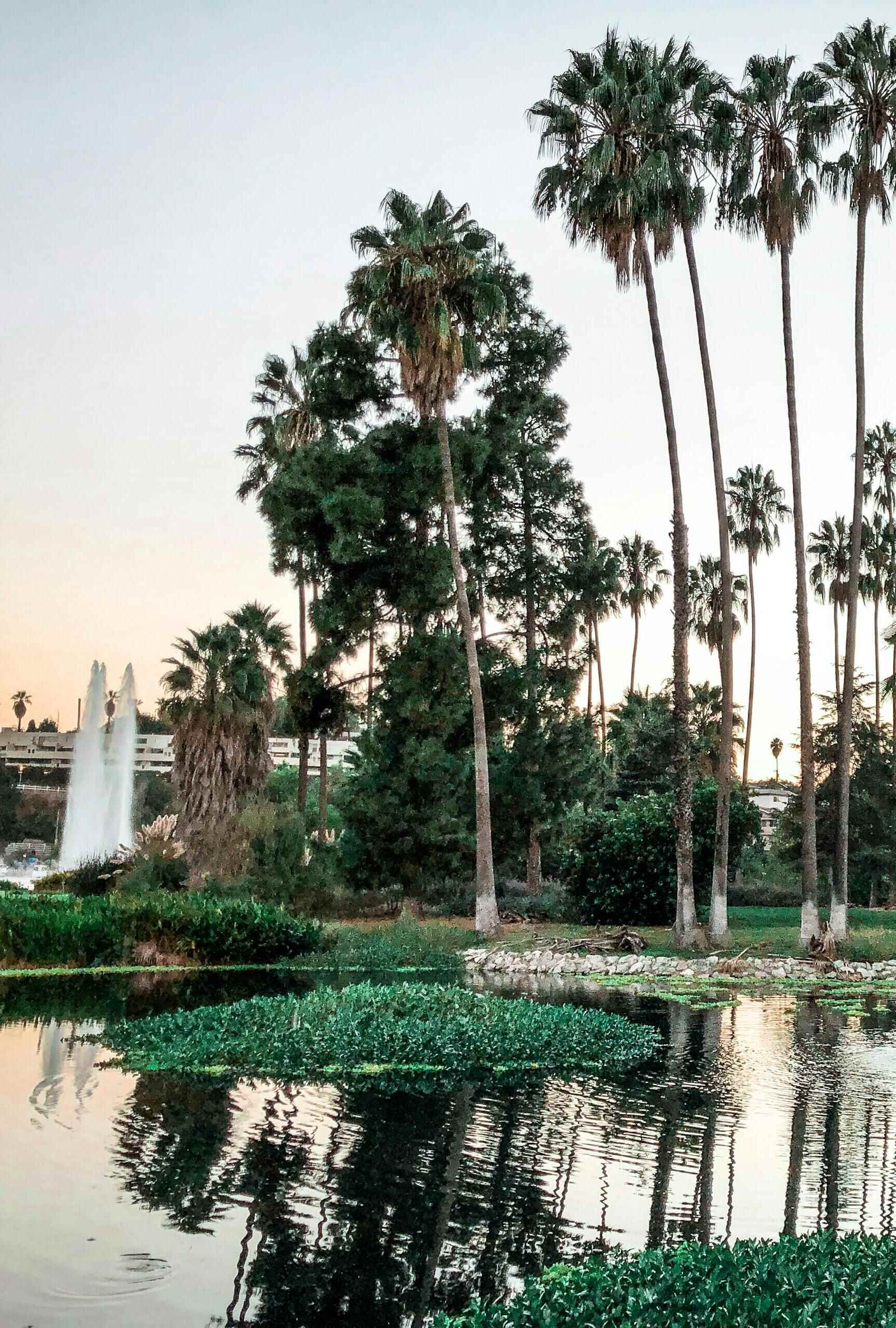 Pasadena Therapy Office Location